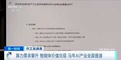 上海某AI视做智能体产物使用方案司理陈梓睿：增